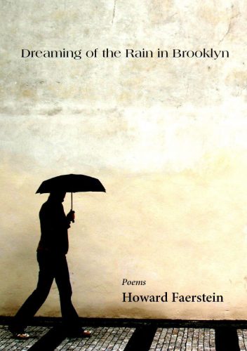 Dreaming_of_the_Rain_in_Brooklyn_Cover